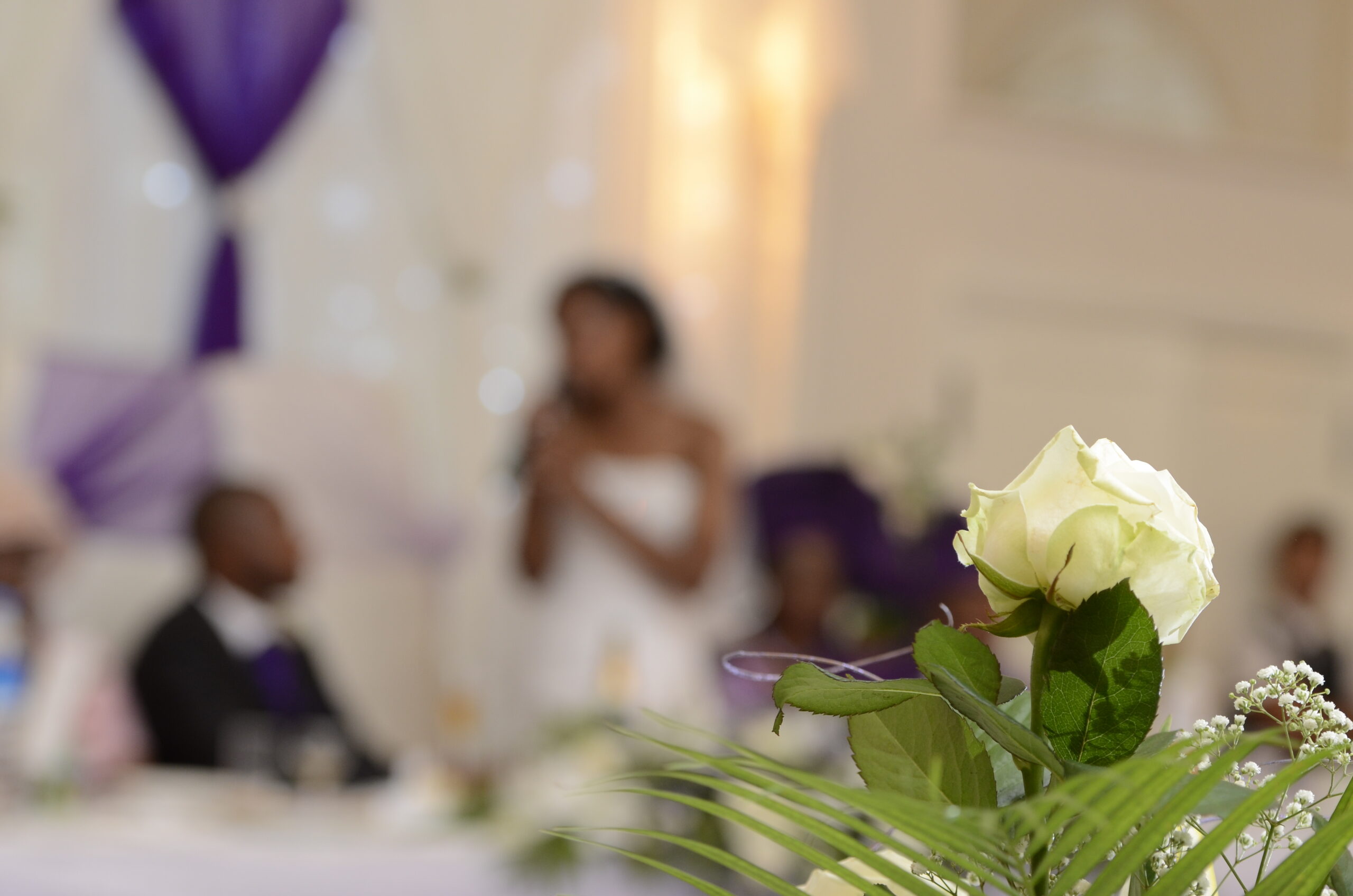 Wedding (Bride singing to the Groom)